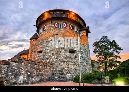 Château de Vaduz au Liechtenstein Banque D'Images