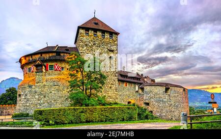 Château de Vaduz au Liechtenstein Banque D'Images