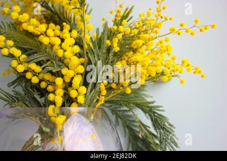 Un bouquet de fleurs de rocacia dealbata ou mimosa jaune dans un vase en verre transparent contre un mur blanc à l'intérieur de la maison. Belle vie de printemps TI Banque D'Images