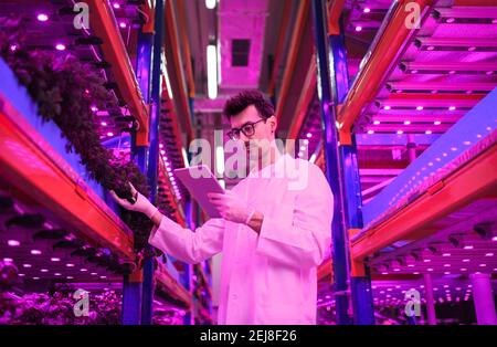 Vue à angle bas de l'employé avec une tablette sur une ferme aquacole, une entreprise durable et un éclairage artificiel. Banque D'Images