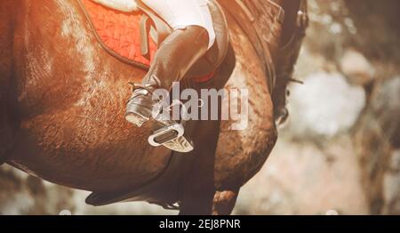 Équitation. Un cheval de baie avec un cavalier assis dans la selle dans des bottes en cuir avec des éperons, éclairé par la lumière du soleil. Sports équestres. Banque D'Images