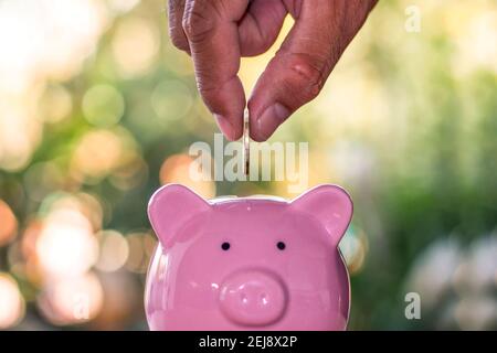En sauvant, les hommes ont mis des pièces de monnaie dans la banque de cochon y compris le fond vert flou. Banque D'Images