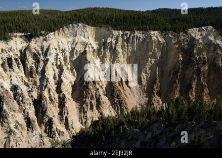 Grand Canyon de la rivière Yellowstone dans le parc national de Yellowstone, Wyoming, États-Unis Banque D'Images