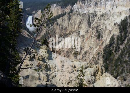 Grand Canyon de la rivière Yellowstone dans le parc national de Yellowstone, Wyoming, États-Unis Banque D'Images