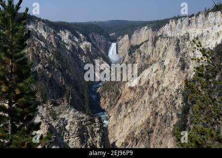 Grand Canyon de la rivière Yellowstone dans le parc national de Yellowstone, Wyoming, États-Unis Banque D'Images