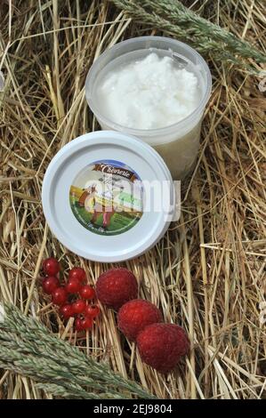 Élevage de chèvres et production de produits biologiques à partir de lait de chèvre Banque D'Images