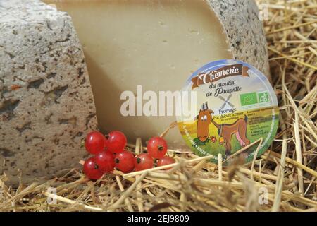 Élevage de chèvres et production de produits biologiques à partir de lait de chèvre Banque D'Images