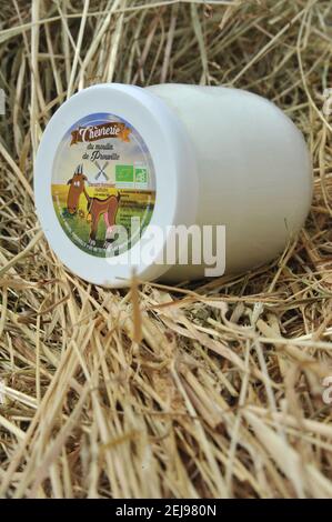 Élevage de chèvres et production de produits biologiques à partir de lait de chèvre Banque D'Images