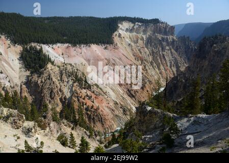 Grand Canyon de la rivière Yellowstone dans le parc national de Yellowstone, Wyoming, États-Unis Banque D'Images