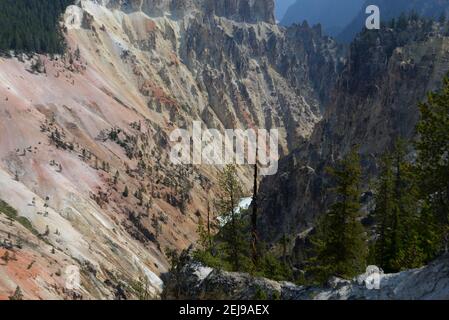 Grand Canyon de la rivière Yellowstone dans le parc national de Yellowstone, Wyoming, États-Unis Banque D'Images