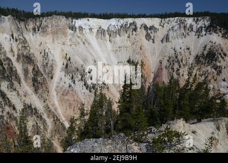 Grand Canyon de la rivière Yellowstone dans le parc national de Yellowstone, Wyoming, États-Unis Banque D'Images