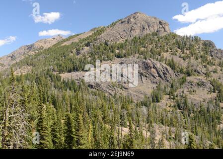 Sentier de Mt Washburn dans le parc national de Yellowstone, Wyoming, États-Unis Banque D'Images