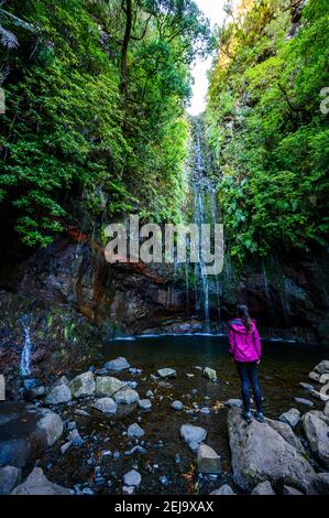 25 Fontes Waterfall - randonnée Levada Trail dans la forêt de Laurel À Rabacal - chemin vers les célèbres vingt-cinq Fontaines dans Magnifique paysage - fait Banque D'Images