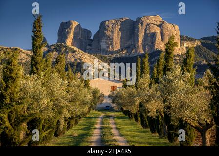 Rochers de Roques de Benet au coucher du soleil, Horta de Sant Joan (Catalogne, Espagne) ESP: Rocas de Benet al atardecer (Horta de Sant Joan, Cataluña, España) Banque D'Images