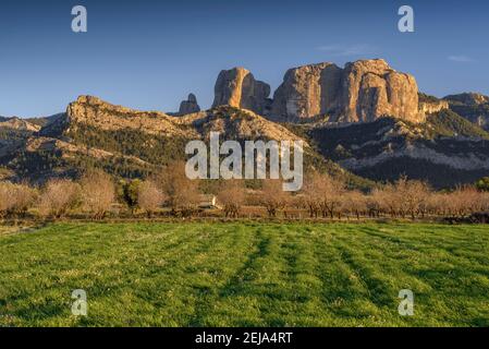 Rochers de Roques de Benet au coucher du soleil, Horta de Sant Joan (Catalogne, Espagne) ESP: Rocas de Benet al atardecer (Horta de Sant Joan, Cataluña, España) Banque D'Images