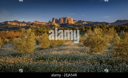 Rochers de Roques de Benet au coucher du soleil, Horta de Sant Joan (Catalogne, Espagne) ESP: Rocas de Benet al atardecer (Horta de Sant Joan, Cataluña, España) Banque D'Images