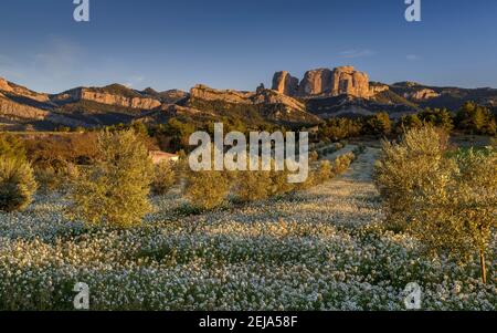 Rochers de Roques de Benet au coucher du soleil, Horta de Sant Joan (Catalogne, Espagne) ESP: Rocas de Benet al atardecer (Horta de Sant Joan, Cataluña, España) Banque D'Images