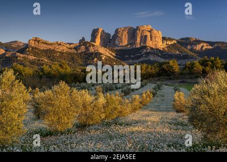 Rochers de Roques de Benet au coucher du soleil, Horta de Sant Joan (Catalogne, Espagne) ESP: Rocas de Benet al atardecer (Horta de Sant Joan, Cataluña, España) Banque D'Images