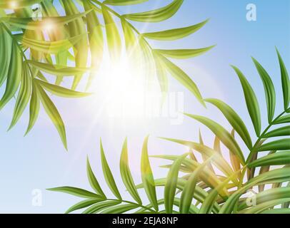 3d réaliste vecteur ciel tropical fond avec feuilles de palmier et soleil brillant. Illustration de Vecteur