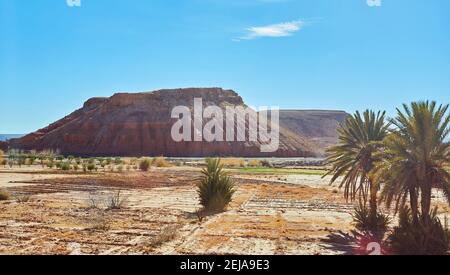 Paysage du sud du Maroc est caractérisée par des montagnes, des plaines, des sols pierreux, le sable et la végétation maigre. Banque D'Images