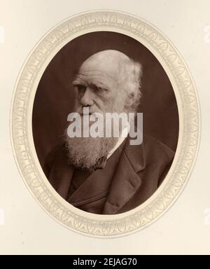 Portrait de Charles Darwin (1809-1882). Musée : COLLECTION PRIVÉE. Auteur : photo studio Lock & Whitfield. Banque D'Images