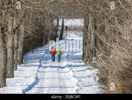 Hamm, Rhénanie-du-Nord-Westphalie, Allemagne - Ensoleillé paysage d'hiver dans la région de la Ruhr, glace et neige sur la Lippe, marcheurs se promenant le long d'un chemin sur le ri Banque D'Images