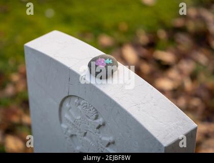 Fleur de coquelicot rouge souvenir peinte sur la pierre placée sur les Britanniques la guerre tombe soldat inconnu seul paisible et tranquille à travers arbres guerre mondiale 1 2 Banque D'Images