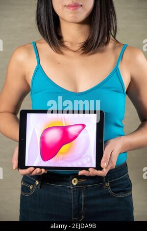 Femme tenant l'écran avec dessin de foie