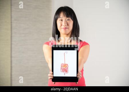Femme tenant l'écran avec le dessin du tube digestif