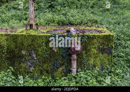 Ancien réservoir d'eau abandonné avec tuyaux rouillés et couvert mousse et lierre Banque D'Images