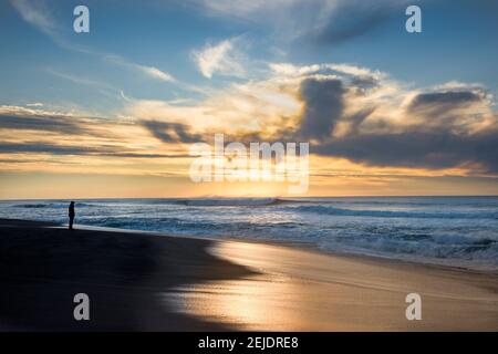 Silhouette d'une personne debout sur la plage, point Reyes National Seashore, Marin County, Californie, Etats-Unis Banque D'Images