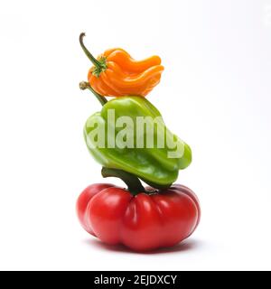 Poivrons des Caraïbes mûrs colorés (Capsicum chinense) isolé sur un fond blanc Banque D'Images
