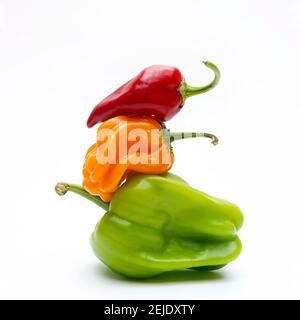 Poivrons des Caraïbes mûrs colorés (Capsicum chinense) isolé sur un fond blanc Banque D'Images