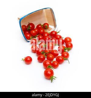 Tomates cerises sur fond blanc Banque D'Images