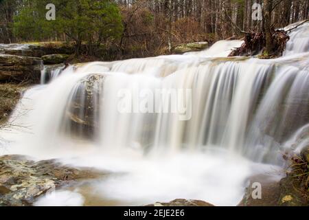 Eau tombant des rochers dans une forêt, Burden Falls, forêt nationale de Shawnee, comté de Pope, Illinois, ÉTATS-UNIS Banque D'Images