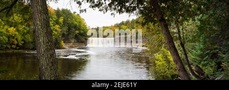 Cascade dans une forêt, chutes Tahquamenon, parc national de Tahquamenon Falls, comté de Chippewa, Michigan, États-Unis Banque D'Images