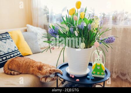 Décoration de Pâques. Chat jouant avec des oeufs par les fleurs de printemps qui fleurit dans le pot à la maison. Animaux de compagnie s'amusant sur le canapé. Intérieur des fêtes Banque D'Images
