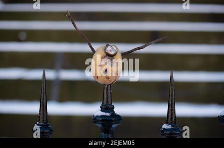 Drôle d'humour écossais, DIY MR Potato Head avec le visage de bouteille de bière et bras de bâton par le Scott Monument, Édimbourg. Banque D'Images