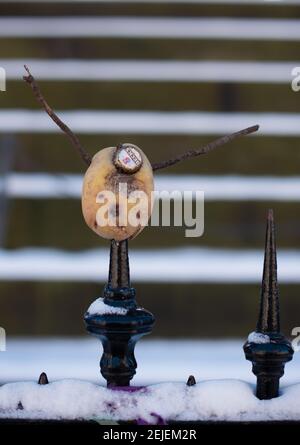 Drôle d'humour écossais, DIY MR Potato Head avec le visage de bouteille de bière et bras de bâton par le Scott Monument, Édimbourg. Banque D'Images