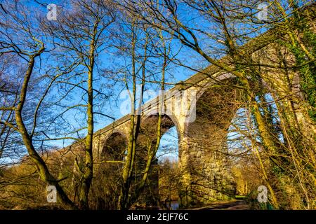 Pont près de Torr Vale Mill dans la gorge de Torrs A. Dans la vallée de la rivière Goyt à New Mills dans le Région de High Peak du Derbyshire Peak District Royaume-Uni Banque D'Images