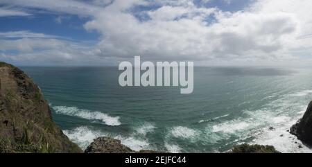 Vue imprenable sur la plage de Piha, le parc régional des Waitakere Ranges, la région d'Auckland, l'île du Nord, la Nouvelle-Zélande Banque D'Images