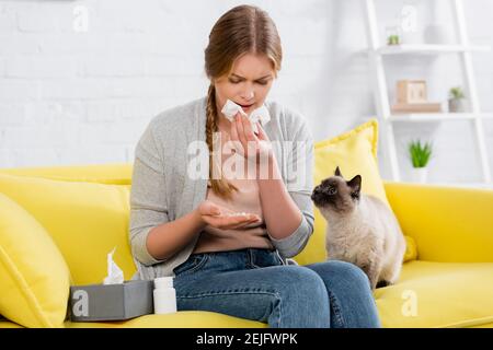 Bouleverser la femme avec la serviette regardant les pilules pendant l'allergie près de chat siamois sur le canapé Banque D'Images