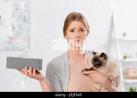 Femme détestable tenant une boîte avec serviette et chat siamois à accueil Banque D'Images