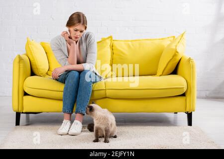 Triste femme avec allergie tenant la serviette près de chat dans la vie chambre Banque D'Images