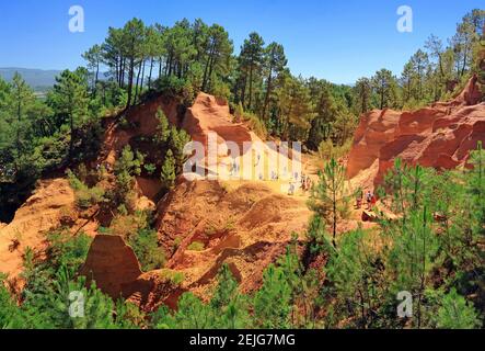 Colline ocre avec pins, Roussillon, Provence, France. Banque D'Images