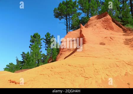 Colline ocre avec pins, Roussillon, Provence, France. Banque D'Images