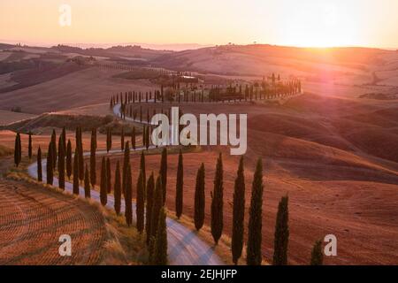 Vue aérienne d'un paysage de Toscane depuis les airs. Coucher de soleil sur une allée typique de cyprès qui serpente à travers les champs et les vignobles. Banque D'Images