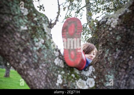 Enfant garçon dormant au-dessus de l'arbre après un voyage intense dans la nature. Les enfants découvrent le concept de la nature. Mise au point sélective Banque D'Images