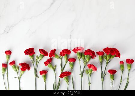 La belle carnation fleurit sur fond de marbre. Vue de dessus Banque D'Images