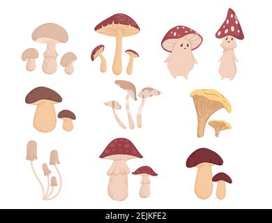Ensemble de différents types de champignons forestiers toxiques et comestibles illustration vectorielle sur fond blanc. Illustration de Vecteur